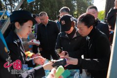 领区设置多种形式互动小逛戏