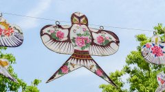 2026年夏秋航季从3月29日开